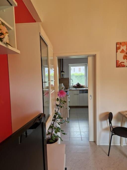 Ferienwohnung Bayernbrise 罗尔多夫 外观 照片